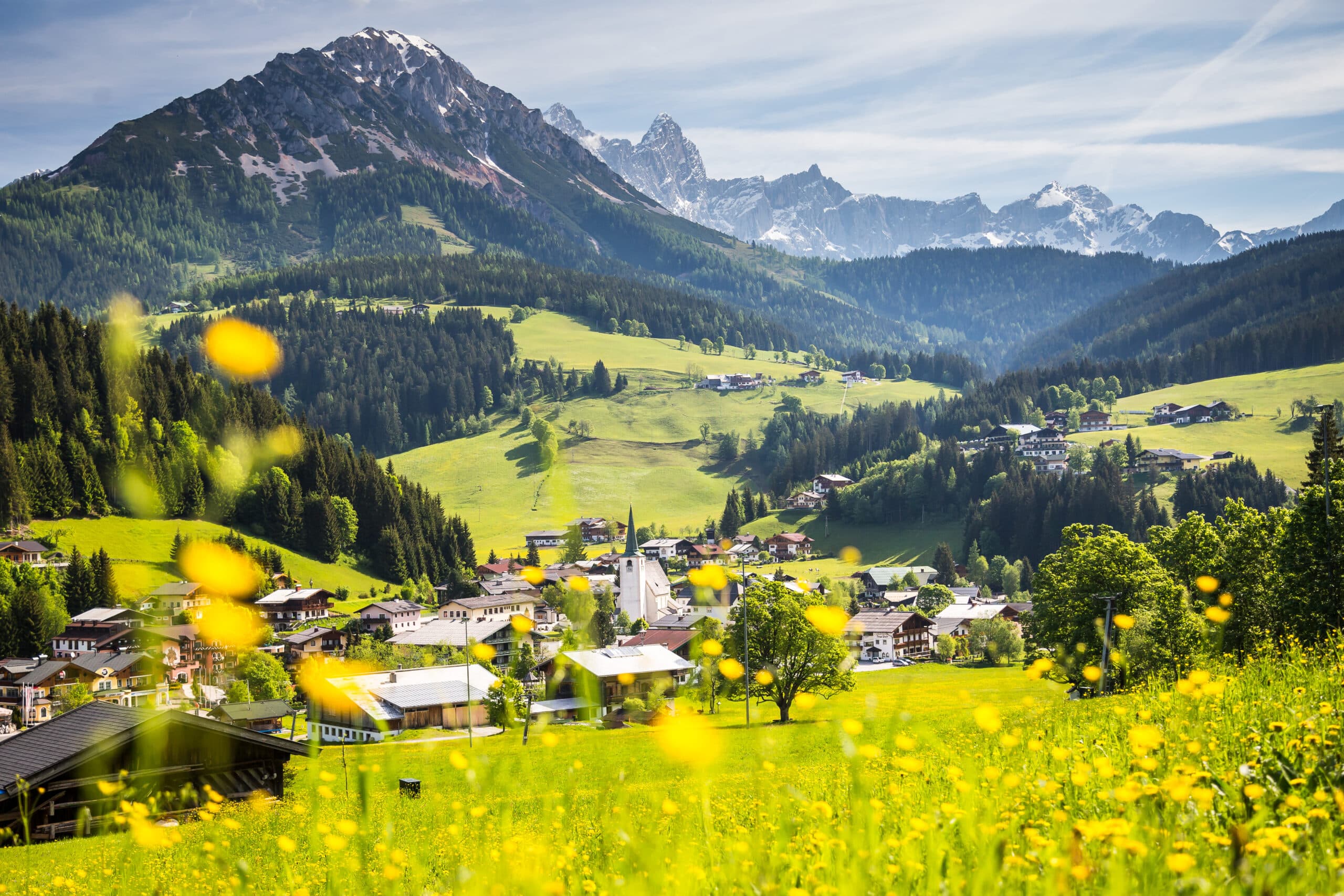 Filzmoos in Frühling Frühlingslandschaft in Filzmoos mit grünen Wiesen, blühender Natur und Blick auf die umliegenden Berge.