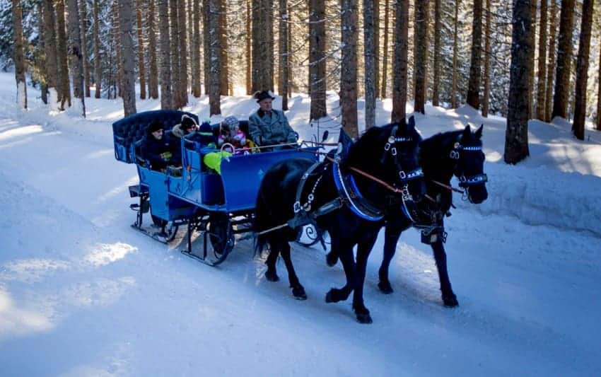 Eine Pferdeschlittenfahrt in den verschneiten Wäldern von Filzmoos Eine Pferdeschlittenfahrt in den verschneiten Wäldern von Filzmoos